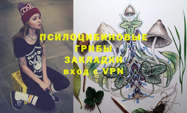 шишки Инта