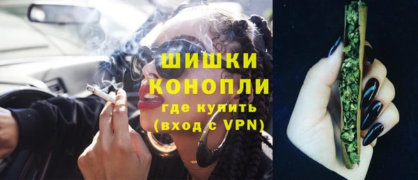 соль ск Инсар