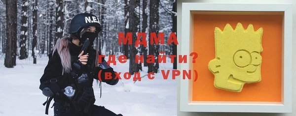 шишки Инта