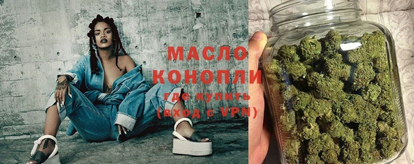 соль ск Инсар