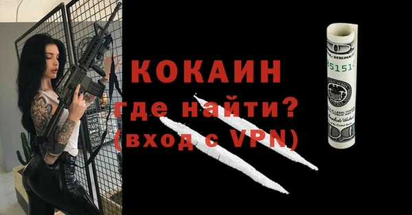 соль ск Инсар