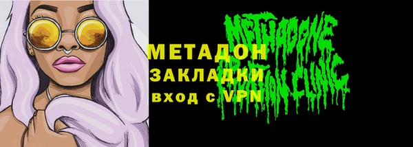 шишки Инта