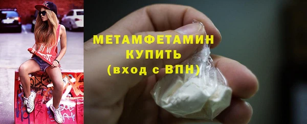 шишки Инта