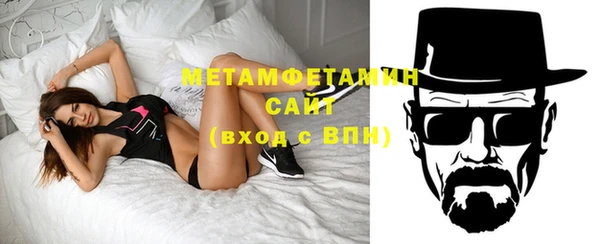 шишки Инта