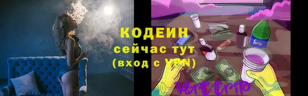 соль ск Инсар