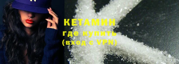 шишки Инта