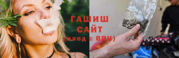 шишки Инта
