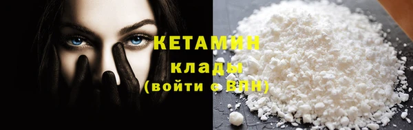 шишки Инта