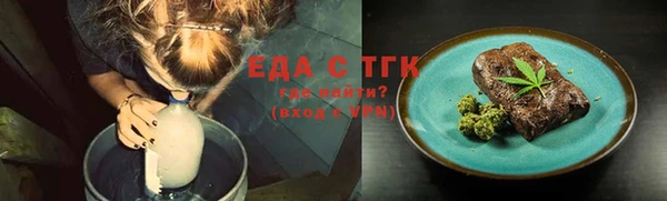 шишки Инта