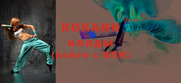 шишки Инта
