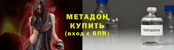 шишки Инта