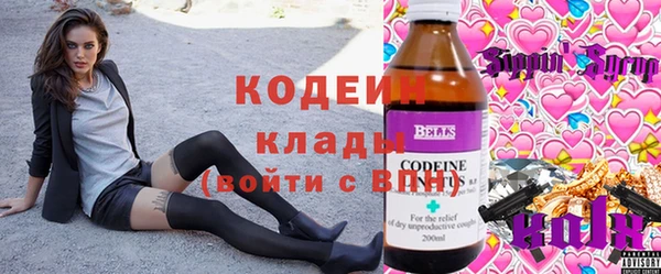 шишки Инта