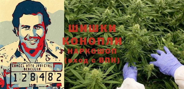 шишки Инта