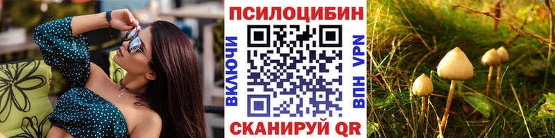 Купить  Искитим  Псилоцибиновые грибы Psilocybe 